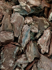 Macro texture of conifer tree bark, detailed natural surface in brown tones, organic background with copy space