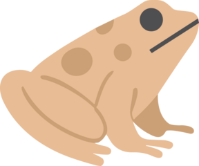 Cute minimalist flat illustration of a beige frog with round spots, symbolizing nature, transformation, and magical creatures in a modern soft style.