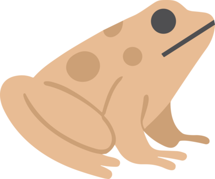 Cute minimalist flat illustration of a beige frog with round spots, symbolizing nature, transformation, and magical creatures in a modern soft style.