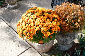 Fall Themed Outdoor Flowerpots