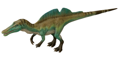 Realistic model of a Spinosaurus dinosaur.