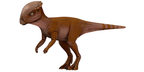 Realistic model of a brown dinosaur on white background.