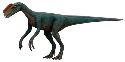 Velociraptor dinosaur with striking orange crest.