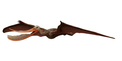 Majestic pterosaur soaring in open skies. © Ilie