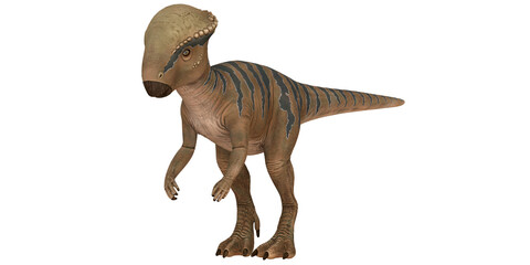 Illustration of a Pachycephalosaurus dinosaur