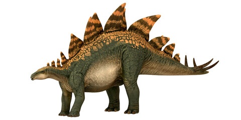 Stegosaurus model with distinctive back plates.