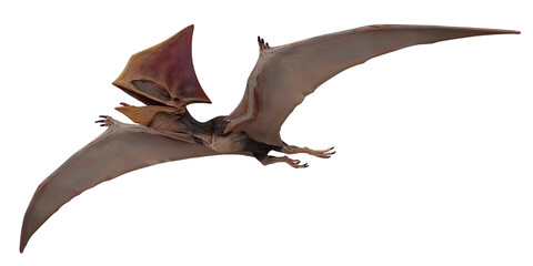 Flying pterosaur with outstretched wings and crest. © Ilie