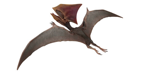 Illustration of a flying Pterodactyl in flight © Ilie