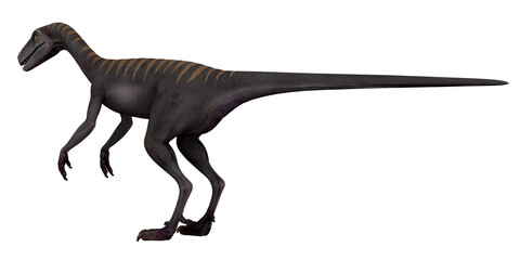 Fototapeta premium Realistic rendering of a Velociraptor dinosaur.