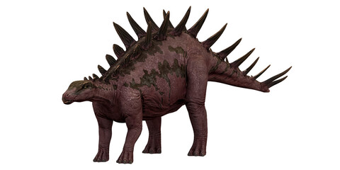 Fototapeta premium Realistic depiction of a spiked dinosaur in profile.