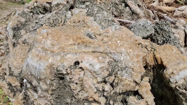 crystallized karst rock texture motifs, limestone, coral rock motifs