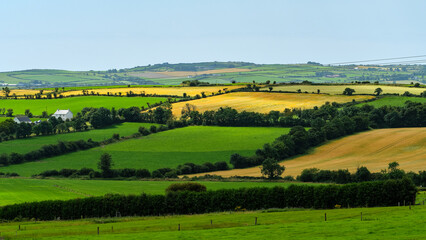 Green and golden fields stretch across the landscape in West Cork, Ireland. Distant hills rise under a clear sky. Lush hedgerows and some buildings dot the scene.