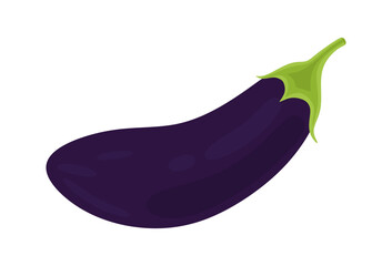 Eggplant vegetable for cooking meals. Whole eggplant brinjal aubergine in cartoon style. Fresh and ripe vegetarian food isolated on white background. Colored flat vector illustration