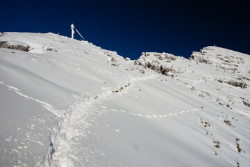 Tracks in the snow on the mountain trail to the top of the peak Pizzo Arera (2,512 metres - 8,241...