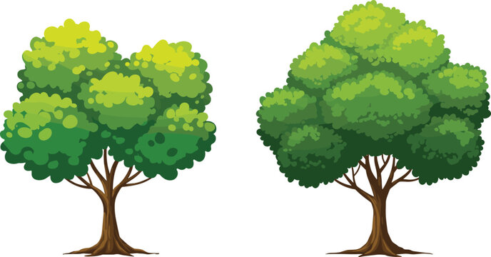Two lush green trees illustration with dense foliage, natural forest design, summer season vegetation for landscape, nature, and eco projects