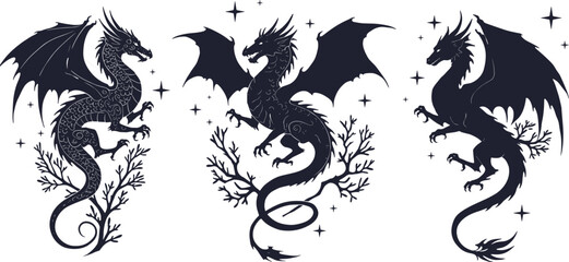 Three elegant black dragons with wings and floral details, fantasy mythical creature illustration, magical dragon art for tattoo and design