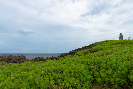 Front de mer &agrave; Cap Hedo, Okinawa, Japon