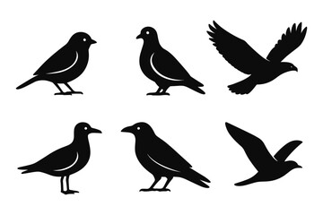 Obraz premium Set of bird silhouettes featuring various flying and standing poses