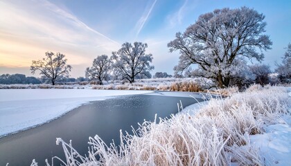 Partially Frozen River Surrounded by Frost-Covered Vegetation and Trees Under a Pastel Winter Sky