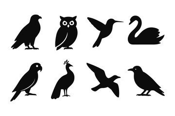 Obraz premium Silhouette collection of birds featuring owl, hummingbird, swan, and more