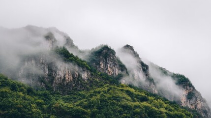 Province mountains covered in mist rise above dense green trees.