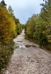 Autumn in the highlands, panorama of the countryside, yellowing forest and cloudless sky