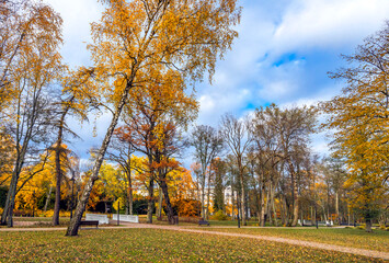 Late autumn in old public park