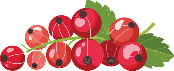 Fresh Red Currants Bunch with Green Leaf Vector Illustration Berry Food Design