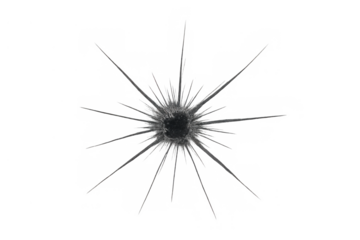 Bullet hole in broken glass showing shattered impact and radial cracks, transparent background with damage concept