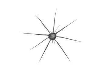 Shattered glass expanding starburst crack on transparent background simulating projectile impact damage