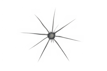 Shattered glass expanding starburst crack on transparent background simulating projectile impact damage
