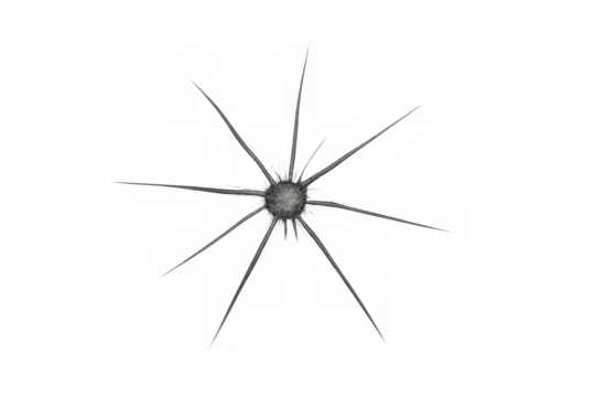 Shattered glass expanding starburst crack on transparent background simulating projectile impact damage