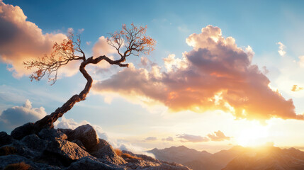 Solitary tree stands on rocky terrain, illuminated by vibrant sunset. sky features dramatic clouds, creating serene and picturesque landscape