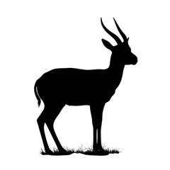 Silhouette of an antelope standing on grass against a white background  