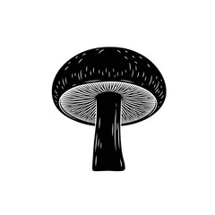 Black and white illustration of a mushroom with detailed gills  
