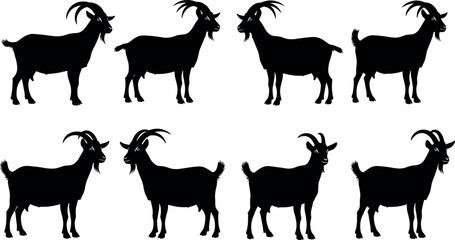 Black goat silhouette set featuring various horn shapes, body postures, tail positions, and walking stances for farm animal design themes.