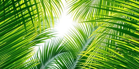 Vibrant green palm leaves forming a lush tropical backdrop,  summer,   tropical plants
