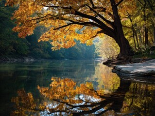 Vibrant Autumn River Landscape Painting Majestic Golden Tree Overhanging Water Reflections Lush Forest Surroundings Nature Scene