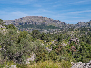 Serra de Tramuntana, Mallorca, scenic mountain landscape with rocky terrain and lush greenery under a clear blue sky, Majorca