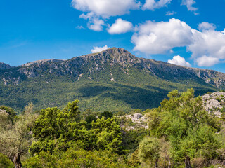 Serra de Tramuntana, Mallorca, picturesque mountain range with lush greenery under a bright blue sky, dotted with fluffy white clouds, Majorca