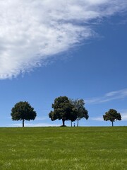 Peaceful Countryside Panorama with Lush Green Pasture, Tree Line, Blue Sky, White Clouds, and Small Cross in Nature