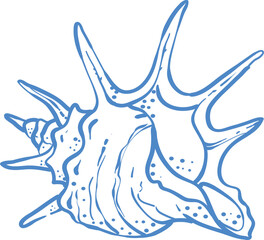 Blue line art seashell illustration, minimal nautical design vector