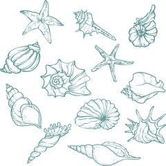 Stylish blue line art set of sea elements starfish, shell, . Minimal nautical vector illustration for beach prints, summer decor, and coastal design projects.