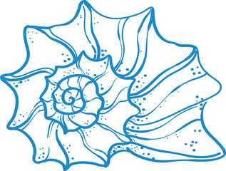 Elegant blue line art illustration of a seashell in minimal style