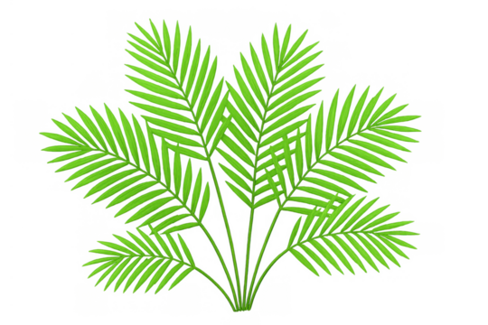 Green palm plant fronds creating a tropical leaf arrangement, transparent background, vector illustration - Powered by Adobe