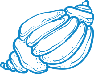  line art seashell illustration in minimal design. Perfect for beach prints, summer decor, nautical logos, resort patterns, and coastal wall art.