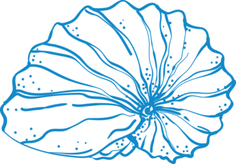  line art seashell illustration in minimal design. Perfect for beach prints, summer decor, nautical logos, resort patterns, and coastal wall art.