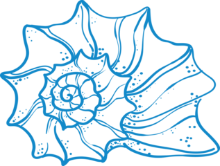 Elegant blue line art starfish illustration in minimal style. Perfect for beach prints, summer decor, marine logos, nautical patterns, and coastal wall art.