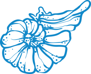 Elegant blue line art illustration of a seashell. Minimalistic marine design with smooth curves and dotted texture. Perfect for beach decor, nautical themes, logos, and summer prints.