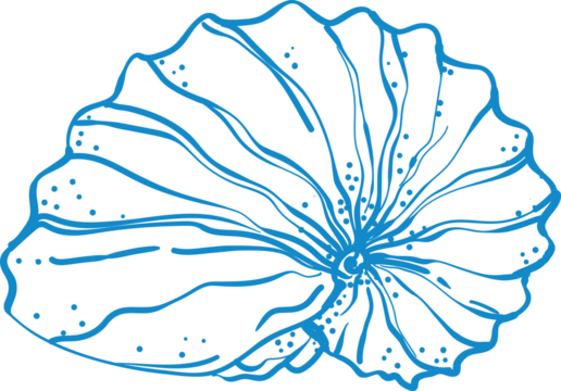  line art seashell illustration in minimal design. Perfect for beach prints, summer decor, nautical logos, resort patterns, and coastal wall art.